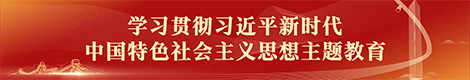 学习贯彻习近平新时代中国特色社会主义思想主题教育