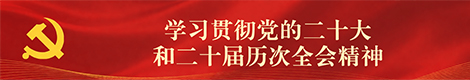 学习贯彻党的二十届四中全会精神